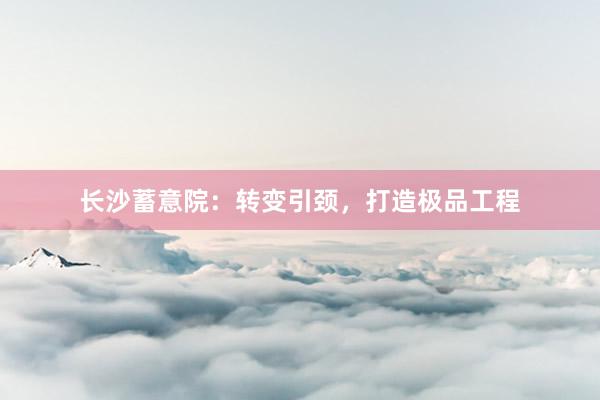 长沙蓄意院：转变引颈，打造极品工程