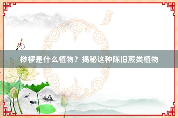 桫椤是什么植物？揭秘这种陈旧蕨类植物