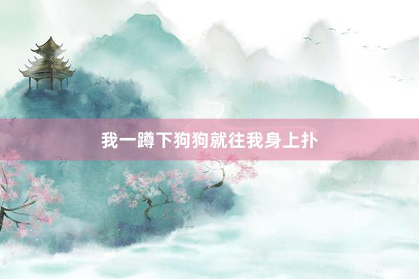 我一蹲下狗狗就往我身上扑